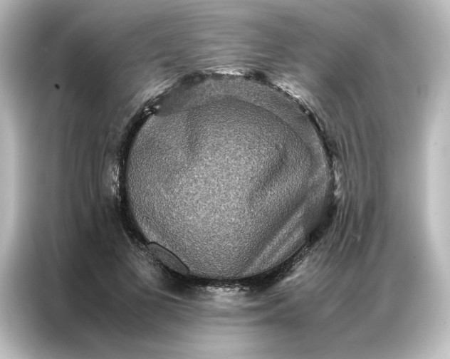 X0000087060693200705021217