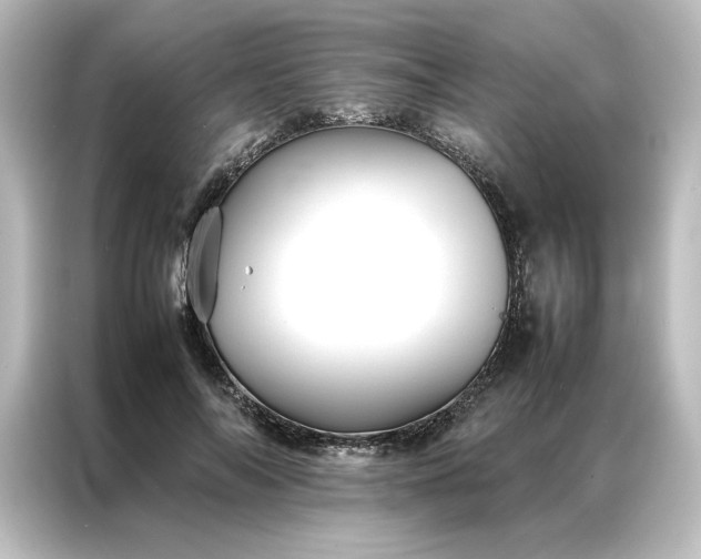 X0000087060694200705021217