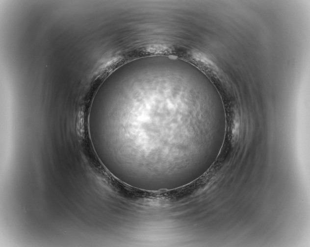 X0000087060696200705021217