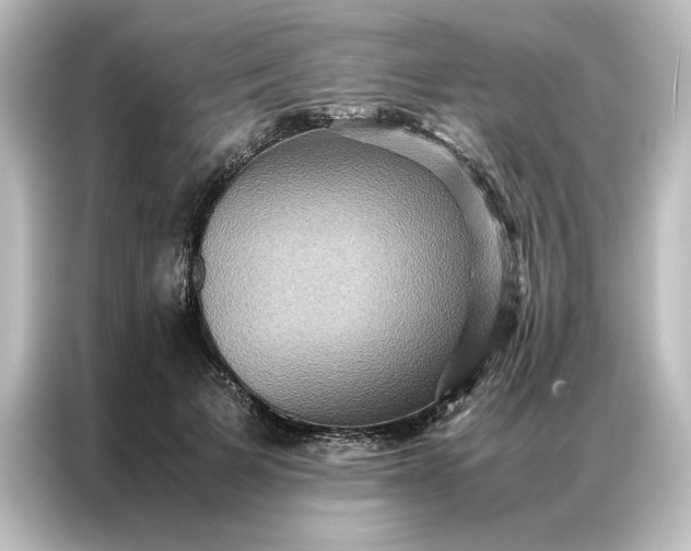 X0000087060697200705021217