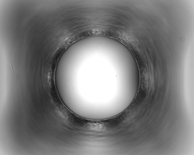 X0000087060698200705021217