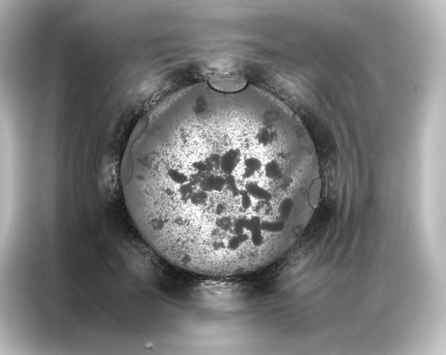 X0000087060699200705021217