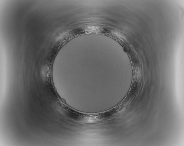 X0000087060701200705021217