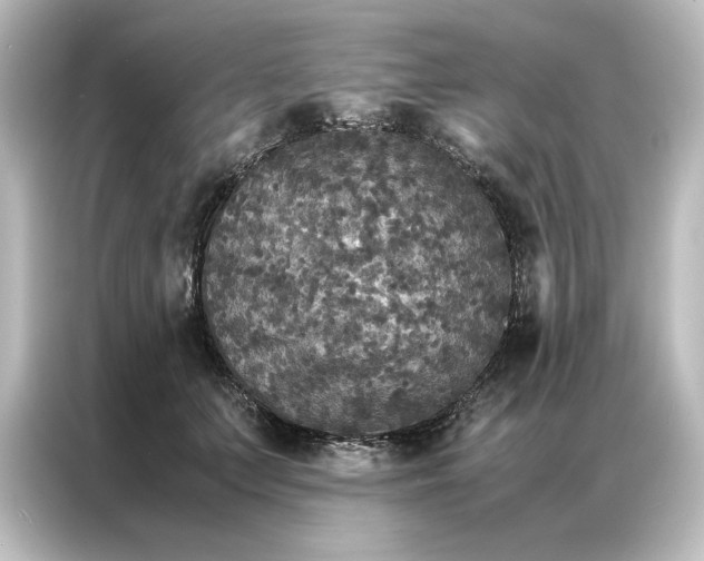 X0000087060703200705021217