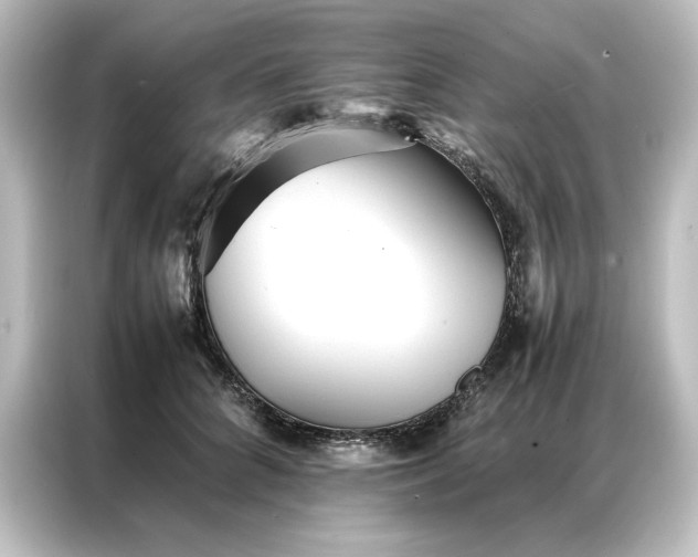 X0000087060704200705021217