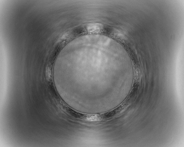 X0000087060705200705021217