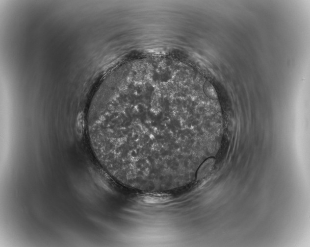 X0000087060707200705021217