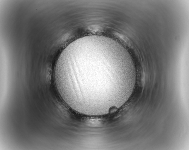 X0000087060710200705021217