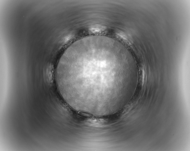 X0000087060712200705021217