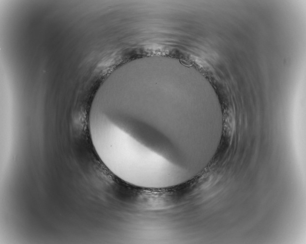 X0000087060713200705021217