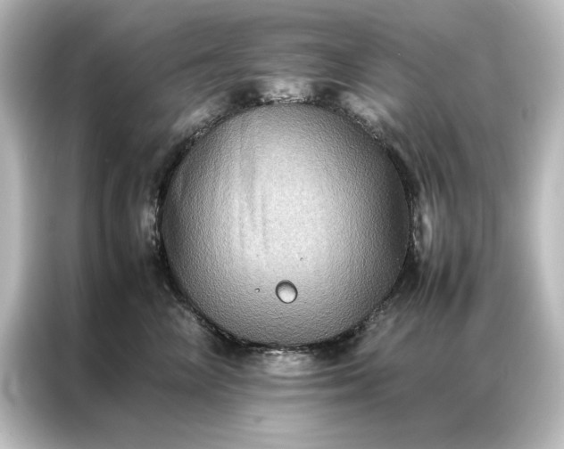 X0000087060714200705021217