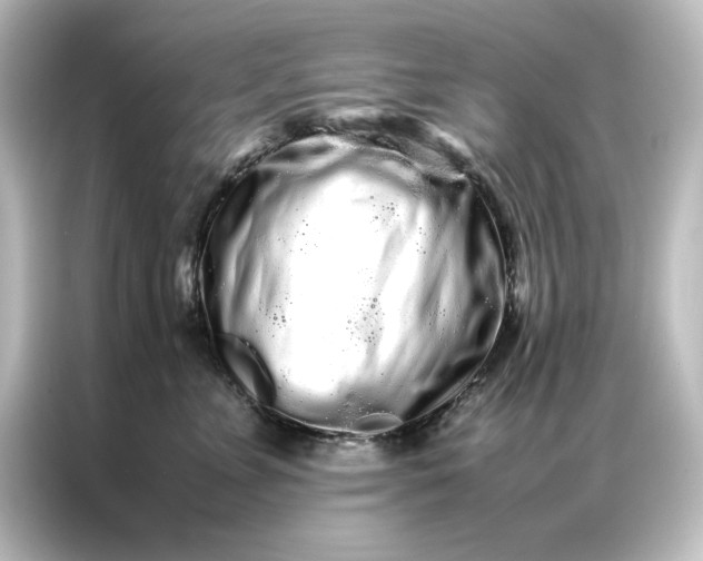 X0000087060715200705021216