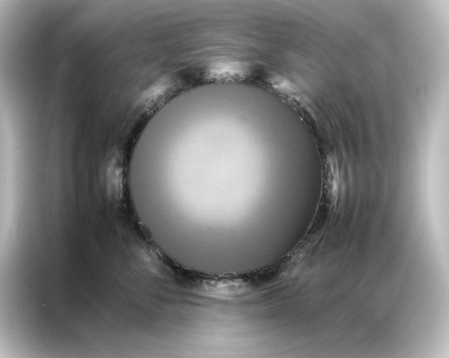 X0000087060716200705021216