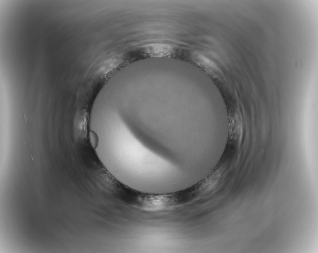 X0000087060717200705021216