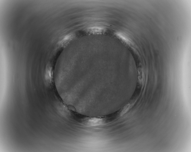 X0000087060718200705021216