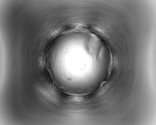 X0000087060719200705021216