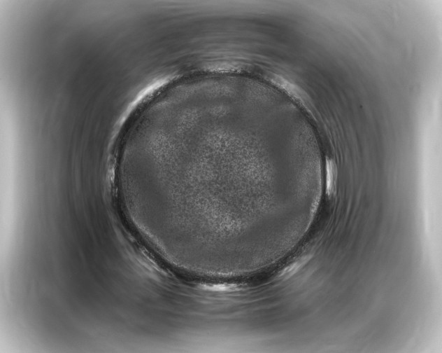 X0000087060723200705021216