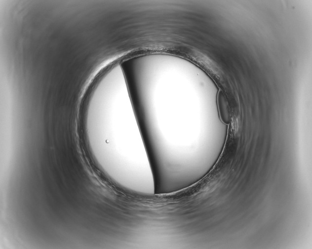 X0000087060724200705021216