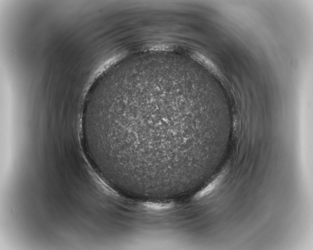 X0000087060725200705021216