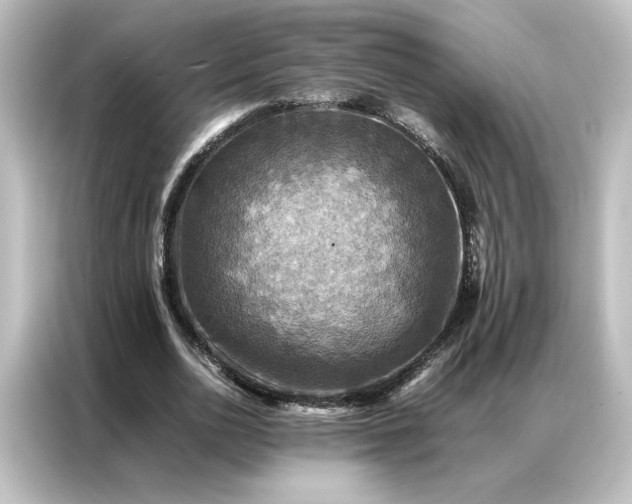 X0000087060726200705021216