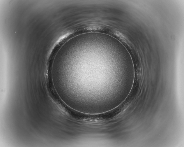 X0000087060727200705021216