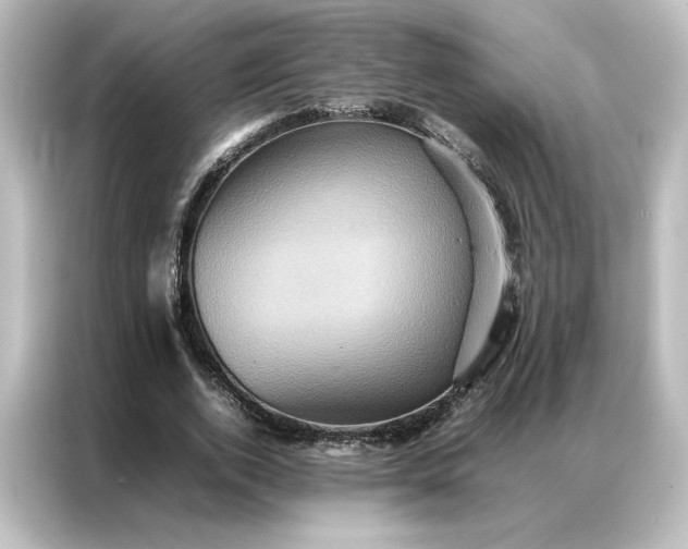 X0000087060728200705021216