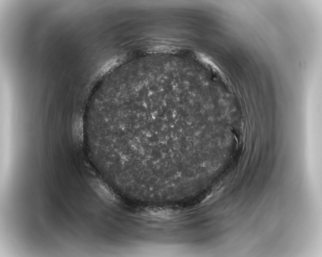 X0000087060729200705021216