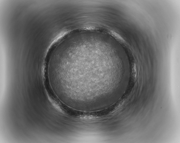 X0000087060730200705021216