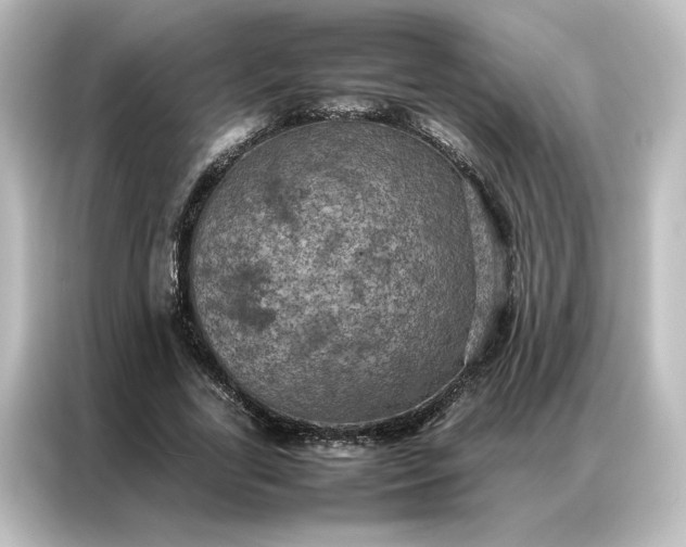 X0000087060731200705021216