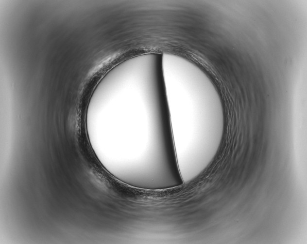 X0000087060732200705021216