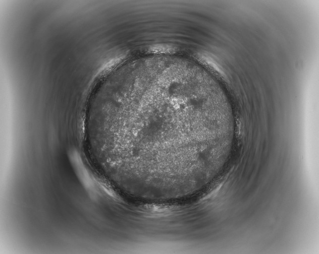 X0000087060733200705021216