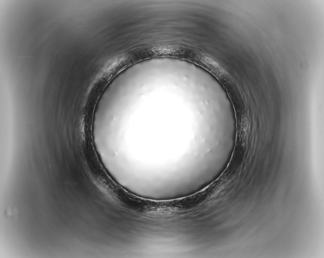 X0000087060734200705021216