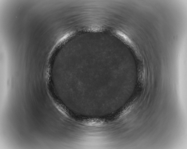 X0000087060736200705021216