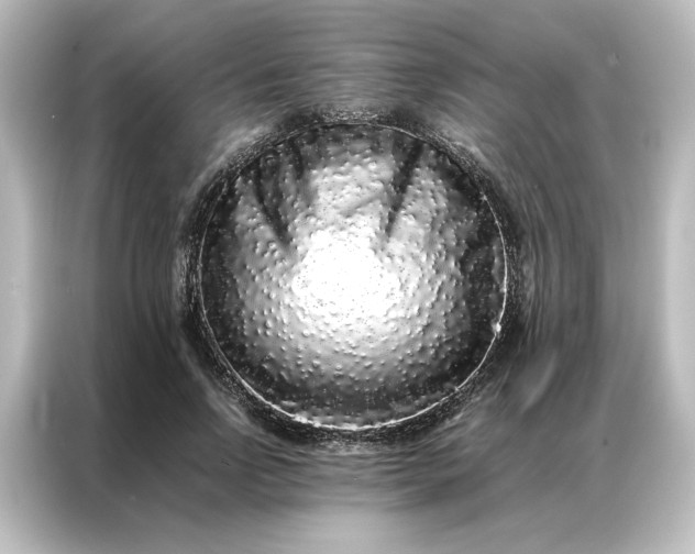 X0000087060742200705021216