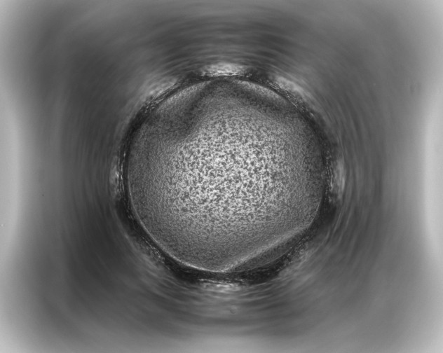 X0000087060743200705021216