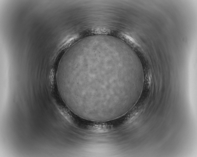 X0000087060744200705021216