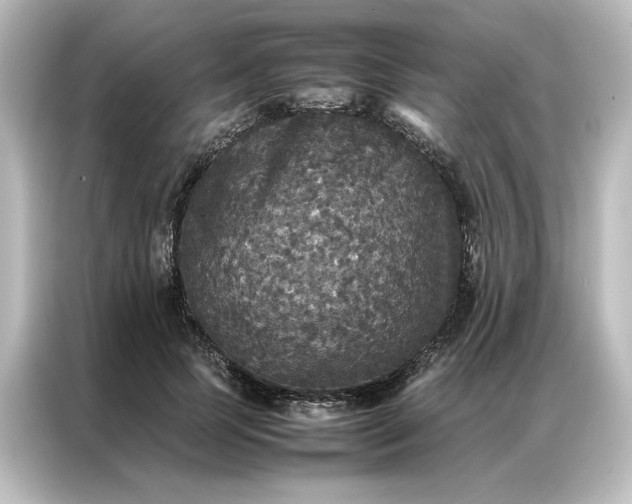 X0000087060745200705021216