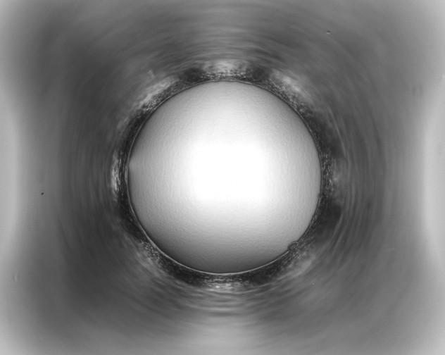 X0000087060746200705021216