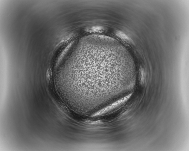 X0000087060747200705021216