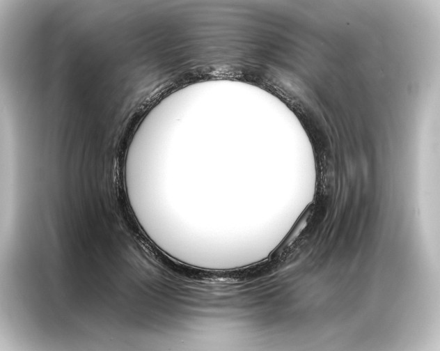 X0000087060748200705021216