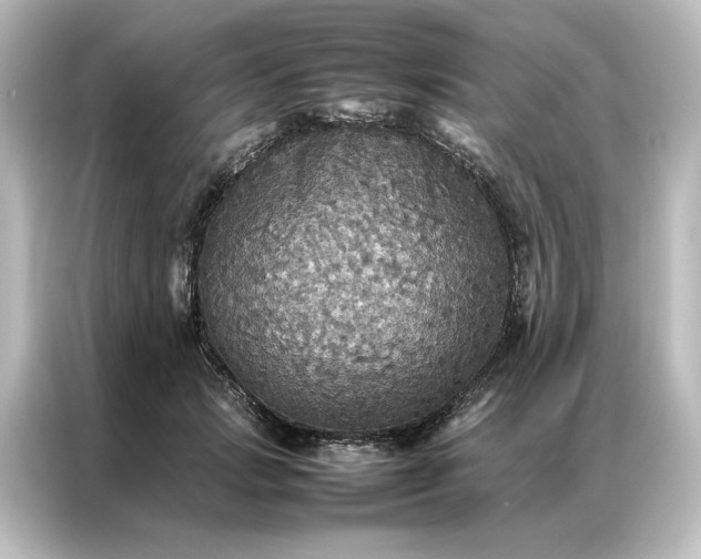 X0000087060749200705021216