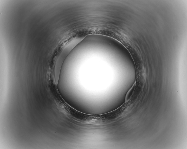 X0000087060750200705021216