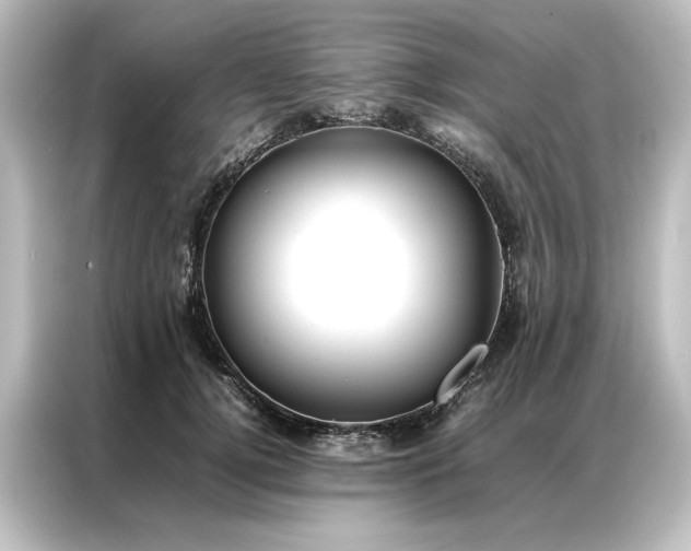 X0000087060752200705021216