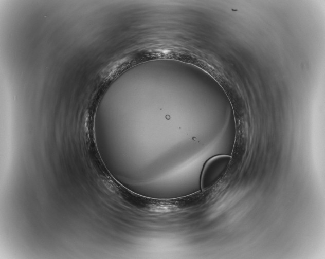 X0000087060754200705021216