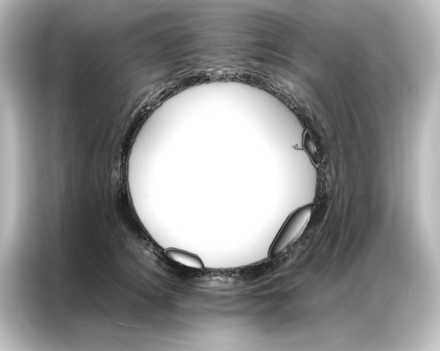 X0000087060756200705021216