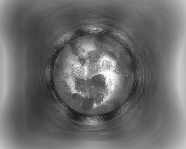 X0000087060757200705021216