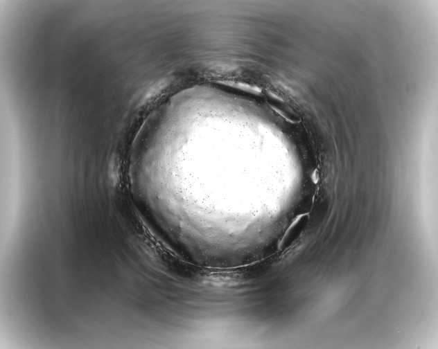 X0000087060758200705021216