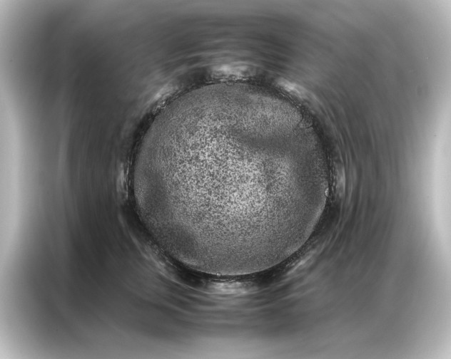 X0000087060759200705021216