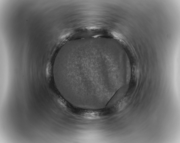 X0000087060760200705021216