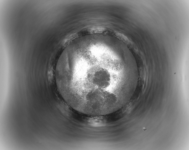 X0000087060761200705021216